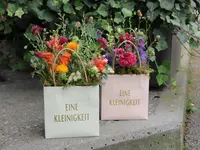 Blumen Pasadena