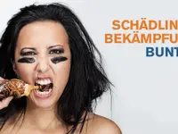 Buntag Bau- und Unterhaltsreinigung AG