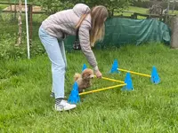 4happypets.ch, Inhaberin Schön