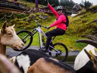 Z-Bike Mendrisio - Klicken Sie, um das Bild 9 in einer Lightbox vergrössert darzustellen