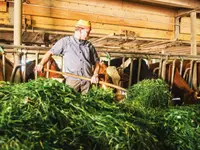 Produttori svizzeri di latte PSL