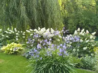 Fellmann Gartenbau AG