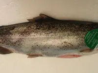 New Valfish SA
