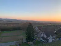 Restaurant Weinberg Warth - Klicken Sie, um das Bild 4 in einer Lightbox vergrössert darzustellen