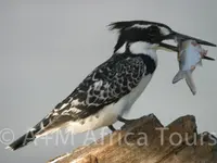 A + M Africa Tours GmbH