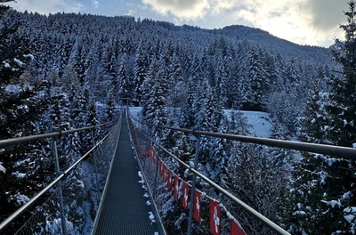 Le Pont suspendu de Torgon