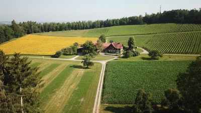 Der Berghof - inmitten der Ruhe und Natur ein Weingut für sich. Auf jeden Fall ein Erlebnis wert.