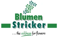 Blumen Stricker-Logo