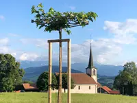 Déco Terre & Jardin SA