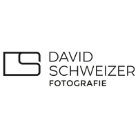 David Schweizer GmbH-Logo