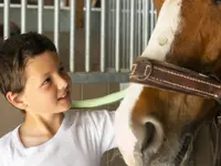 Manège et Poney Club de Presinge - Klicken Sie, um das Bild 7 in einer Lightbox vergrössert darzustellen