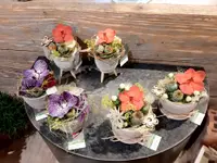 Fleurs pour tous