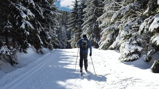 Langlauf in Schaffhausen