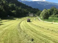 AZIENDA AGRICOLA ARCIONI LUIGI - Klicken Sie, um das Bild 5 in einer Lightbox vergrössert darzustellen