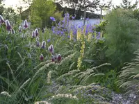 Wildpflanzengärtnerei Flora di Berna