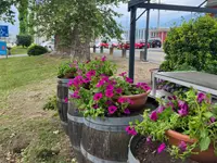 Bar Gazebo - Klicken Sie, um das Bild 3 in einer Lightbox vergrössert darzustellen