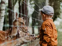 Bambino Learncare - RUDI - - Klicken Sie, um das Bild 11 in einer Lightbox vergrössert darzustellen