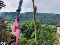 Cano transports Sàrl - Klicken Sie, um das Bild 3 in einer Lightbox vergrössert darzustellen