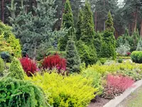 Jupa Gartenpflege AG - Klicken Sie, um das Bild 1 in einer Lightbox vergrössert darzustellen