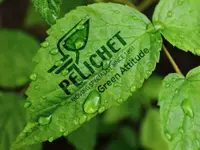 PELICHET NLC SA