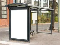ECO Reinigung Mardare