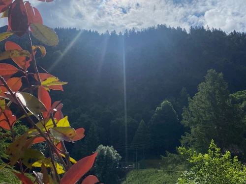 Unique Hotel Fusio - Ristorante Da Noi - Klicken, um das Panorama Bild vergrössert darzustellen