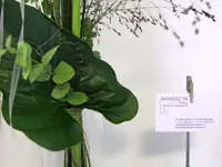 Zahnarztpraxis Dr. Bettina Hartmann-Kirschke AG