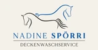 Nadine Spörri Deckenwaschservice