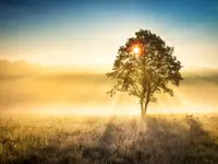 Integrative Naturheil-Astrologie-&Massage-Praxis Marian Frey