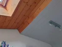Rogenmoser Adi