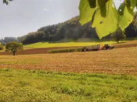 Gemeindeverwaltung in Thalheim AG - Klicken Sie, um das Bild 10 in einer Lightbox vergrössert darzustellen