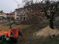 Nesurini Daniele - Lavori Forestali e Segheria - Klicken Sie, um das Bild 3 in einer Lightbox vergrössert darzustellen