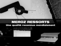 Meroz Ressorts SA