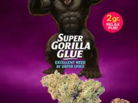 Vapor Spirit CBD Shop Zürich, CBD kaufen Schweiz & CBD Öl