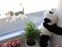 Hundesalon Wang Wuffi-Welt