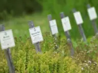 Schneeberg-Drogerie Drewi AG