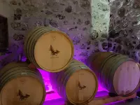 Badan Vins