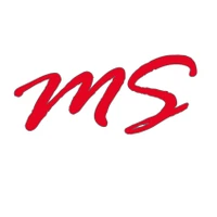 Gruppo MS Sagl-Logo