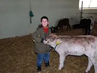 Ferme des Trontières Randogne