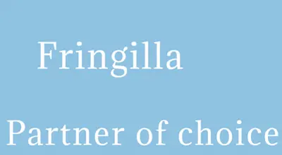 Fringilla - Partner of choice