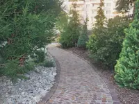 Scheibler Gartenbau AG