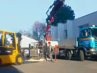 Meier Willi AG