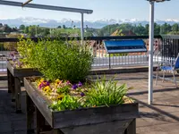 Heime Uster Pflegezentrum Im Grund