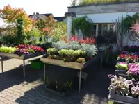 Strickler Blumen & Gärten AG