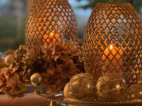 aloee Creativer Blumenschmuck GmbH