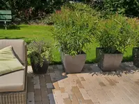 Gartenbau Schlup AG