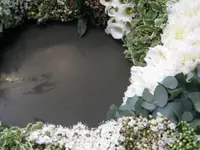 Blumenhalle Gössi