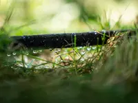 Sarrieu Paysagiste - Création & Entretien d'espaces verts