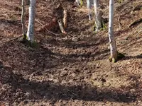 Greder Fils - GF Réalisations