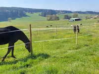 Ranch du p'tit bonheur - Klicken Sie, um das Bild 1 in einer Lightbox vergrössert darzustellen